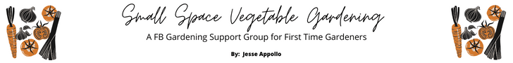 https://voiceamericapilot.com/show/4065/be/Small Space Vegetable Gardening.png